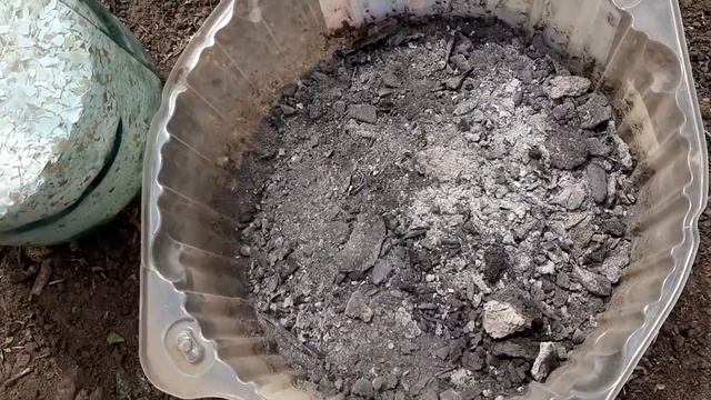 Первая очень важная подкормка Помидор! Вмиг пойдут в рост и станут крепкими все помидоры. смотреть онлайн
