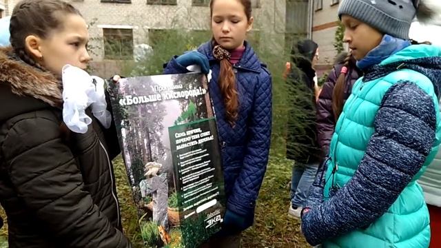Посадка Маньчжурского ореха смотреть онлайн