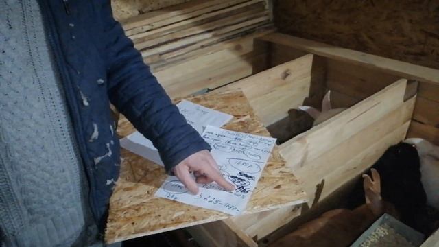 МОЙ ДОХОД ЗА ГОД ОТ КРОЛИКОВ//КРОЛИКОВОДСТВО ИТОГИ.