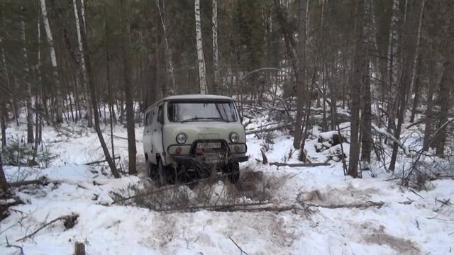 Таблетка на Таежкин код 2013 смотреть онлайн