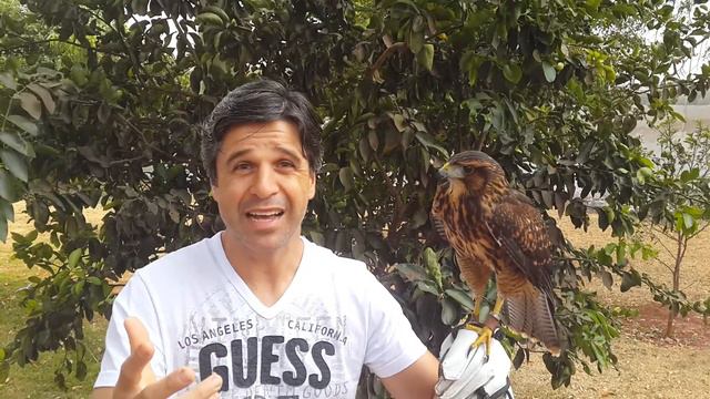 Está Cansado, Sobrecarregado, Deprimido, Desanimado????? Faça Como As águias. Pr Leonardo Trevisan