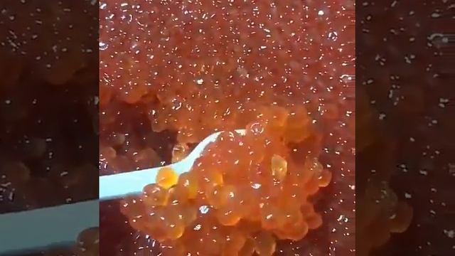 Икра Красная в Томске!Северске! ИКРА ЧАВЫЧИ!КАМЧАТКА!КРАБЫ!КРЕВЕТКИ!РЫБА СЕМГА!ЖИВЫЕ РАКИ! IKRA70.R смотреть онлайн