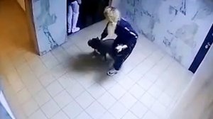 Питбуль без намордника напал на женщину в Сочи