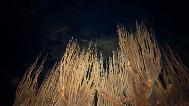 ARK Genesis OCEAN Biome Map Tour