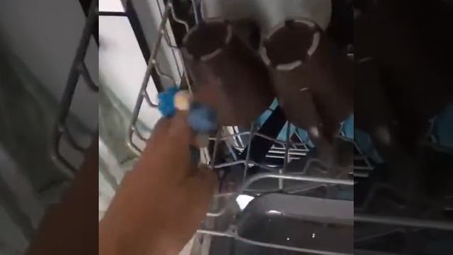 Что будет с грызунком после посудомойки смотреть онлайн