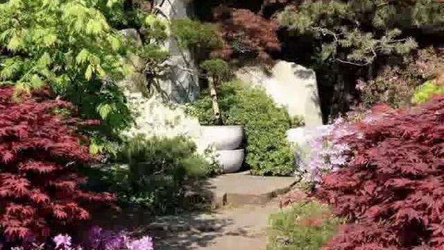 Мне никогда... смотреть онлайн