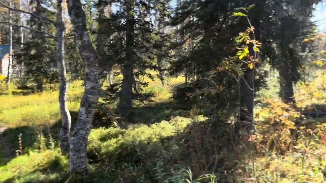 5 сер Похода 275 км по северу Урала / реки Сыня Войвож Вангыр Косью и гора Сабля / авг-сент 2023 смотреть онлайн