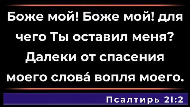 Богослужение 06.02.2024 смотреть онлайн