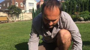 Как бороться с одуванчиками и пыреем на газоне