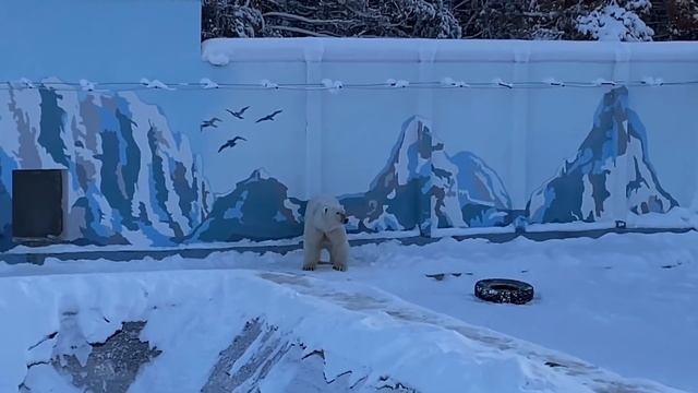 Какие животные живут в Якутии смотреть онлайн