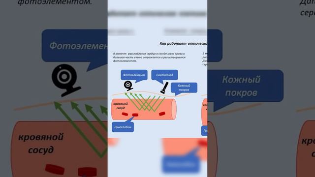 🤔Почему умные часы показывают пульс у колбасы? К сожалению никакой магии🥲 смотреть онлайн