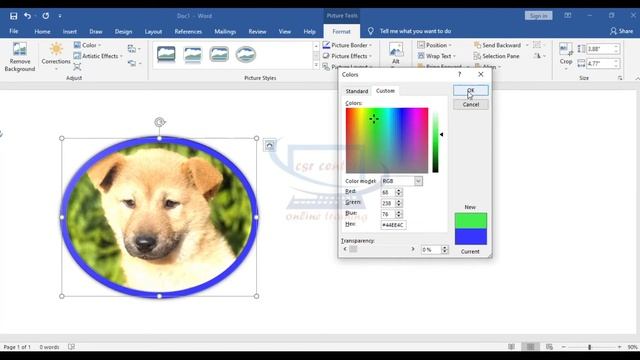 #7 MS Word 2019 in Kannada/MS Word in Kannada/How to Design Pictures Like Photoshop/Replace Picture смотреть онлайн