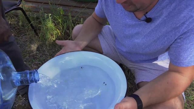 Готовим национальные блюда