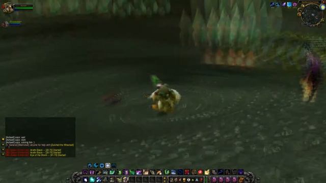 WoW Burning Crusade: Level 70 druid vs Ruul The Darkener смотреть онлайн