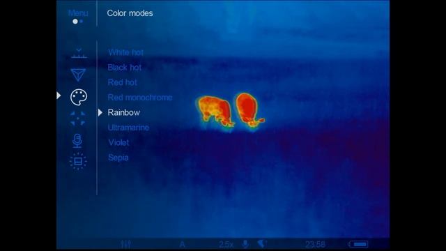 Pulsar Helion 2 XP50 PRO - Fallow Deer On Midsummer