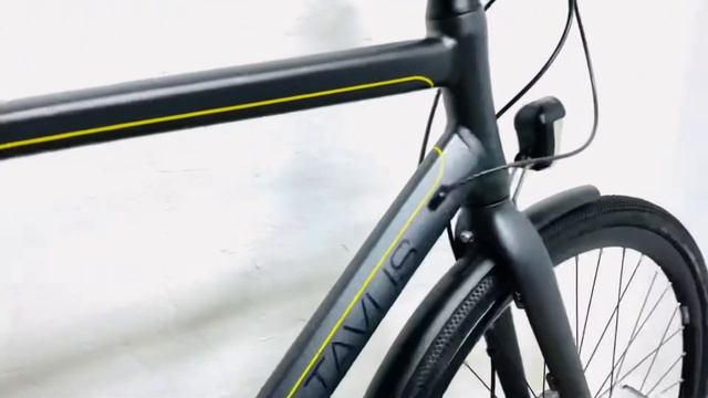 Batavus