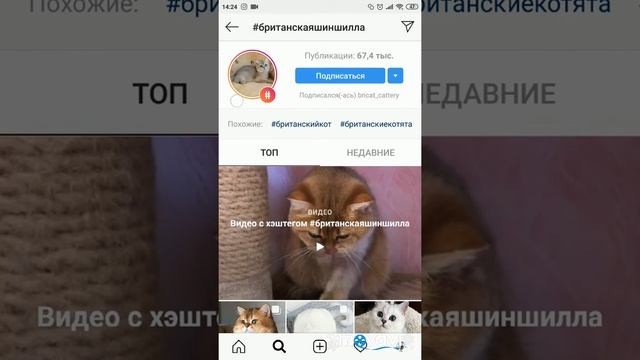 Как работают хэштеги и геолокация. Stories. Instagram. смотреть онлайн