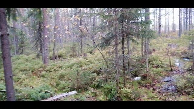 изба- беседка (начало)