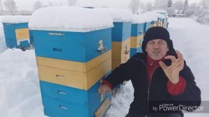 Зимовка пчёл | Как достичь хорошей зимовки пчёл на улице. | Wintering bees.