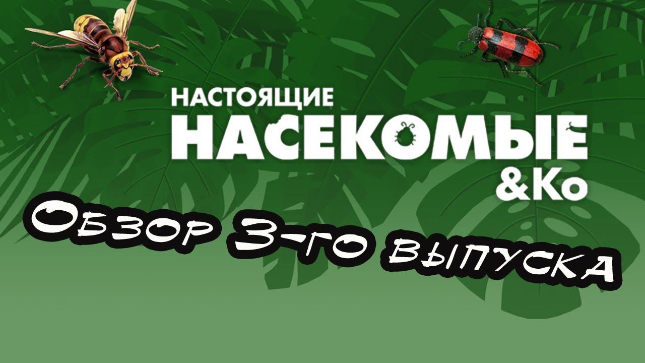 Настоящие насекомые и Ко | 3 выпуск | DeAgostini смотреть онлайн
