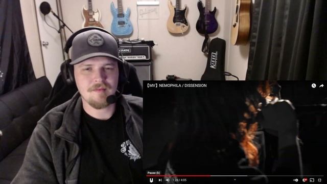METALHEAD ENVIES| NEMOPHILA| "DISSENSION" смотреть онлайн