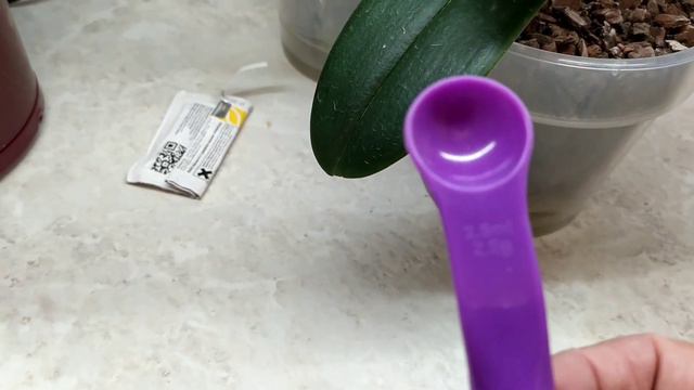 Третья, заключительная обработка орхидей от трипсов. 🦟🌺🦟🌺 смотреть онлайн