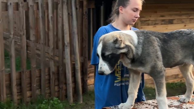 ЛАВРА НЕ ПРОДАЁМ, ХВАСТАЕМСЯ !) смотреть онлайн