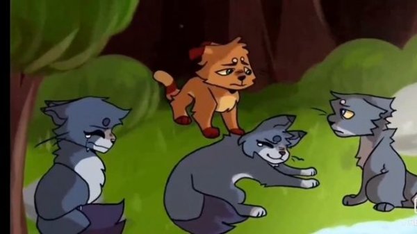 Warrior cats?MAP
