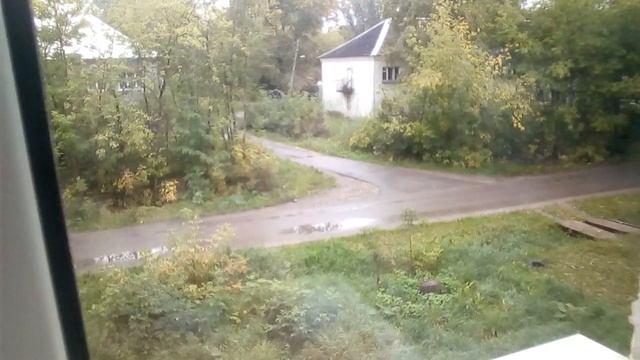 Рецепты для здорового образа жизни 