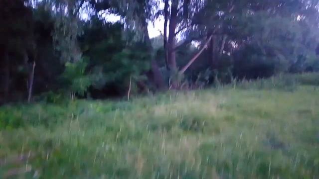 ВЫЖИВШИЕ ИЗ 90-Х ,ДЕНЬ РОЖДЕНИЯ ,,ВОЛКА~БАКСА,, ! 2021г. 15 ИЮЛЯ ! смотреть онлайн
