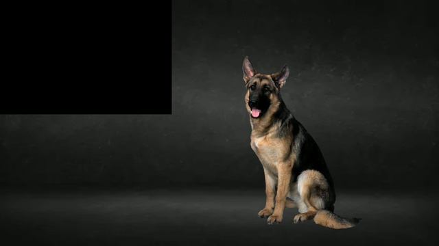 ОБЗОР НА КАНАЛ ВЛАД А4 смотреть онлайн