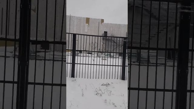 Стадион Затулинка?БАСЕЙН? смотреть онлайн