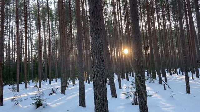 Валдайская Усадьба. Тверская область. Озеро Коломинец. Новый 2023 год смотреть онлайн