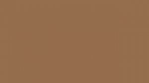 Light gray-brown color #946B54 HD Светлый серо-коричневый цвет