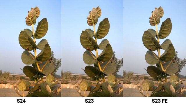 Samsung Galaxy S24 Vs Samsung Galaxy S23 Vs Samsung Galaxy S23 FE Camera Test Comparison смотреть онлайн