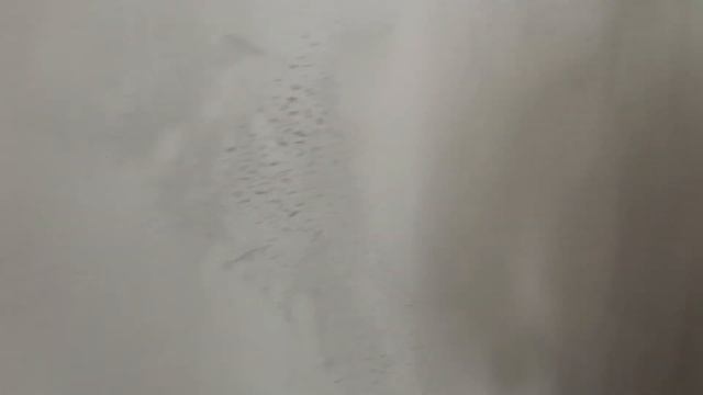 How To Prepare Walls For Peel and Stick Wallpaper- Spencer Colgan смотреть онлайн