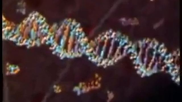 Сказка о судьбе и системе ...Плевел Правды... смотреть онлайн