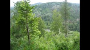 Природа Горной Шории