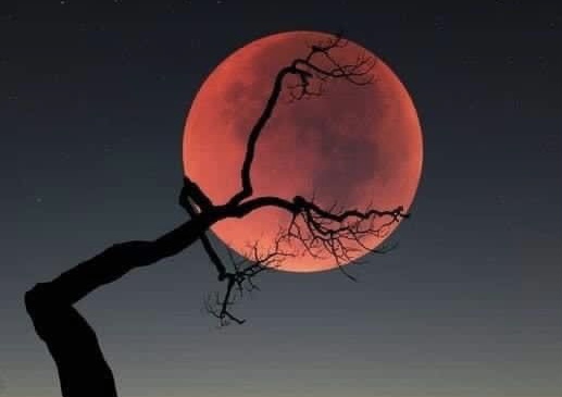 И жить нам на природе приходилось