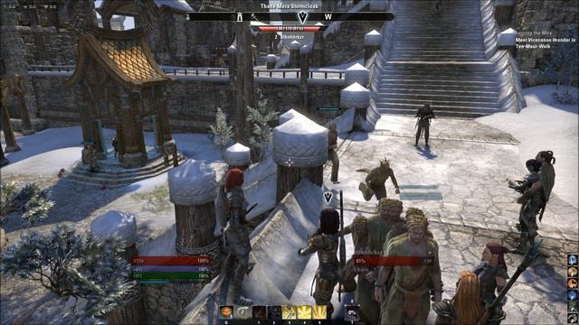 Bots in The Elder Scrolls Online / Боты в ЕСО смотреть онлайн