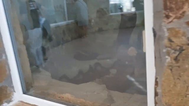Зоопарк в Анталье смотреть онлайн
