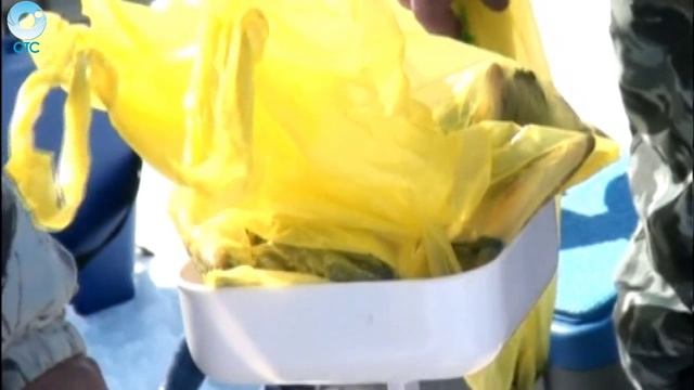 В Кочковском районе прошли соревнования среди местных рыболовов. Кто наловил больше всех? смотреть онлайн