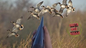 ХОРОШАЯ СТРЕЛЬБА ТОЗ/34 "ОХОТА НА УТОК" shooting ducks