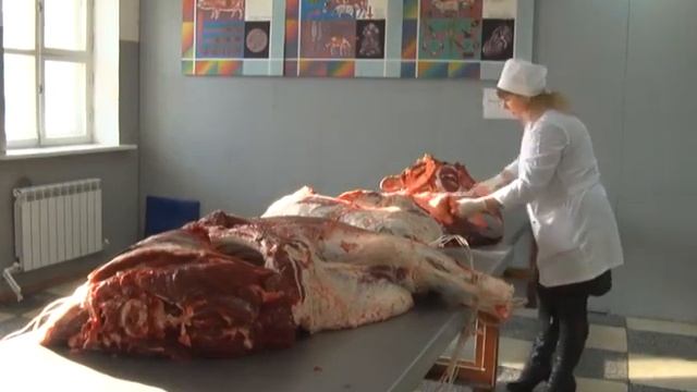 эхинококкоз 4 02 19 смотреть онлайн