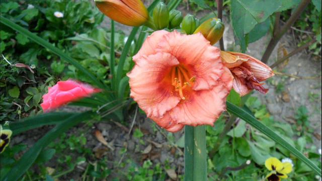 Для тебя мой виртуальный друг