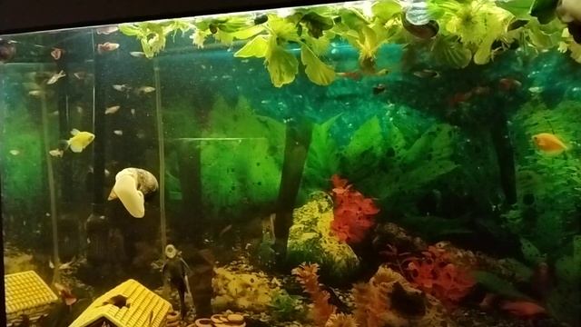 Дети, которые меняют мир