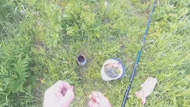 На озере..в надежде поймать карасей...на поплавок. смотреть онлайн