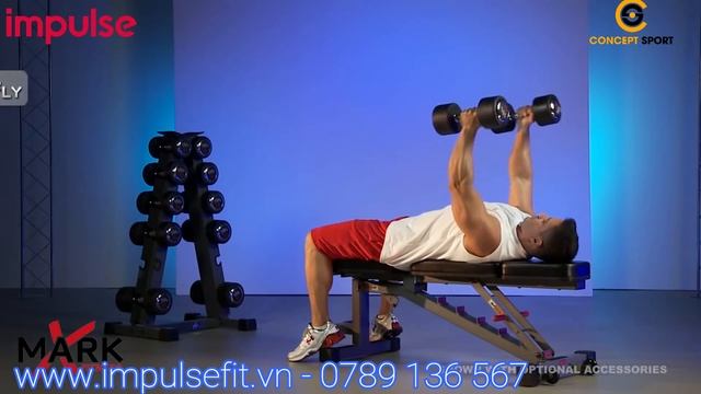 Impulse IF2011 Adjustable Weight Bench смотреть онлайн