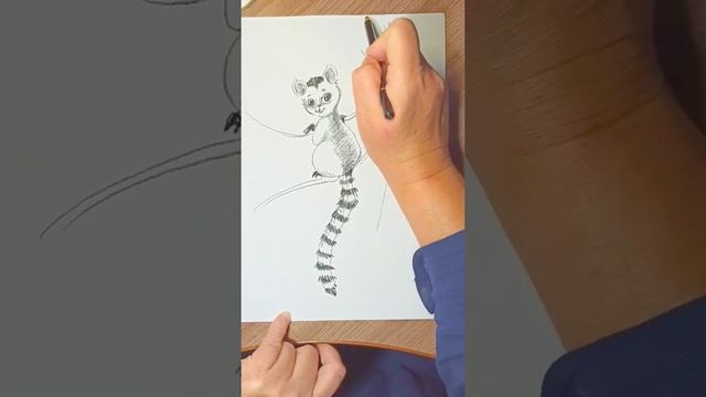Зверушка с полосатым хвостом, скетчинг черным карандашом. смотреть онлайн