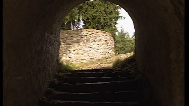 Petr Chelčický смотреть онлайн